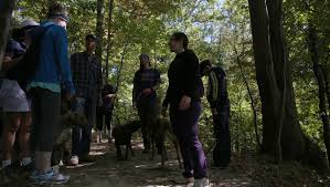 Heroin crisis: Can community groups fill treatment gaps?