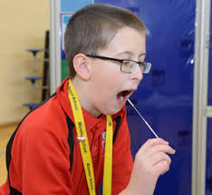 Wolverhampton school's testing regime is putting minds at rest