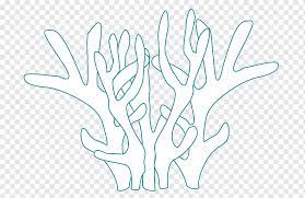 You can do all of these at the great barrier reef, one of the great. Coral Reef Great Barrier Reef Coloring Book Coral Reef Fish Sea Drawing Child Ecosystem Great Barrier Reef Coloring Book Coral Reef Png Pngwing