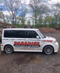 Do Your Trees Have Existing Defects Tree Removal Tree Service Tree Removal Service