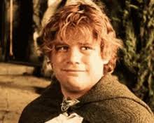 Sam Samwise GIFs