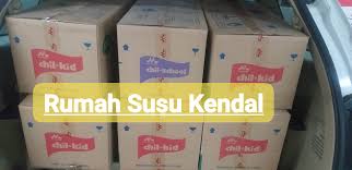 Di tangan pimpi—panggilan akrabnya—kotak susu bekas berubah menjadi karya cantik yang dengan cepat bisa ludes terjual. Rumah Susu Kendal Home Facebook