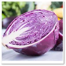 Varietà, botanica, coltivazione e caratteristiche nutrizionali del il cavolo cappuccio e il cavolo verza sono due sottospecie della ben nota brassica oleracea l., pianta. Cavolo Cappuccio Rosso Cortobio