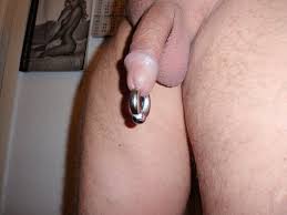 Penis Piercing with PA - private setting for discovery revealed