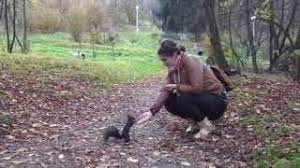 Parcul central is located in vatra dornei. Parcul Central Vatra Dornei Destimap Destinations On Map