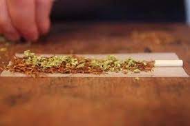 How to roll a spliff. How To Roll A Spliff Spliffseeds