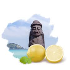 Make sure when buying any cactus juice, get the unprocessed ones. Amazon Com Snp Jeju Rest Canola Korean Face Sheet Mask Plumping Tightening Effects For All Skin Types 10 Sheets Best Gift Idea For Mom Girlfriend Wife Her Women Beauty