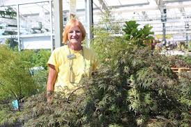 The largest home and garden show in cleveland, ohio, this show features landscaping companies, remodeling contractors, interior design companies, and more. To Do This Month