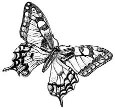 Butterfly; Popular symbol of the Holocaust
