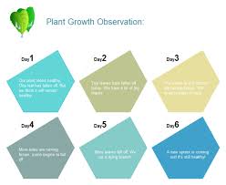 Plant Growth Observation Chart Free Plant Growth