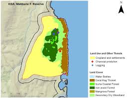 Image result for Icuria