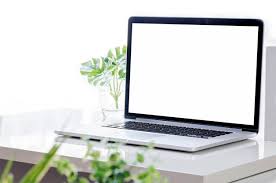 Mockup Laptop With Blank Screen And Houseplant On White Top Table In 2020 Vector Background Pattern Free Photos House Plants