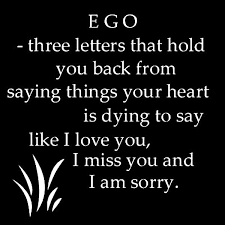 Pride Will Make You Loose Someone Quotes Quotesgram