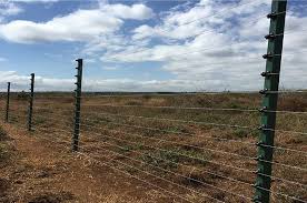 But if you have loose wires, they could probably jump it and never get hit. Electric Fences Kenya Index Home Electric Fences Razor Wire Fences Gate Automation Farm Electric Fences Installation In Kenya