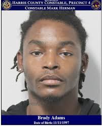 Mark Herman, Harris County Constable Precinct 4