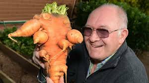 Strange vegetables found in local gardens