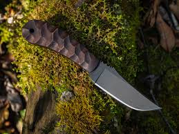 Image result for Sorindeia winkleri