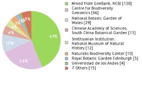 Image result for Stachys aculeolata