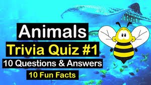 Would you rather have your familiar be. Animals Quiz Video 10 Awesome Questions Quiz Beez