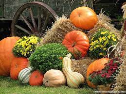 1,162 free images of fall pumpkins. Free Download Scene Of Pumpkins Fall Pumpkin Display Thanksgiving Scene Autumn 700x525 For Your Desktop Mobile Tablet Explore 49 Fall Scene Wallpaper With Pumpkins Free Fall Wallpapers For Desktop