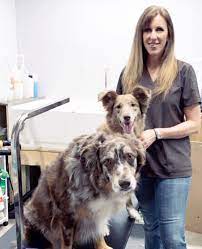 More purebred pets for students to groom than any other school. Michelle Smith Paragon School Of Pet Grooming