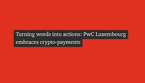 Each of the five key market participants — merchants and consumers, tech developers, investors, financial institutions, and regulators — will play a. Pwc Luxembourg Accepting Bitcoin Payments From Its Clients As From 1 October 2019 Bitcoin Schweiz News