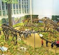 China Custom Diplodocus Skeleton Factory - Alta calidad ...