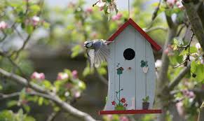 Simple cardinal bird house plans. 10 Best Bird Houses Reviewed And Rated In 2021