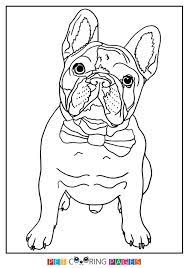 We have now placed twitpic in an archived state. French Bulldog Puppy Colouring Pages Novocom Top