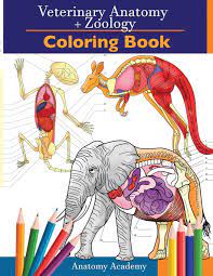 Every page says color the both. Veterinary Zoology Coloring Book 2 In 1 Compilation Incredibly Detailed Self Test Animal Anatomy Color Workbook Perfect Gift For Vet Students And Animal Lovers Amazon De Academy Anatomy Fremdsprachige Bucher