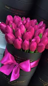 Pretty The Color Combo Nature And Science Fiori Bellissimi Fiori Tulipani