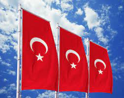 Ihre flagge wird heute von der türkischen minderheit in griechenland verwendet (westthrakientürken). Turkei Flagge Online Gunstig Kaufen Premium Qualitat