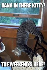 Meme Creator Funny Hang In There Kitty The Weekend S Here Meme Generator At Memecreator Org