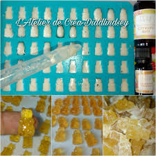 Ma Recette De Bonbons Ourson Gelifier Miel Propolis Huile Essentielle De Citron Bio Le Blog De Diddlindsey Recette Bonbon Huile Essentielle Citron Bonbon Maison