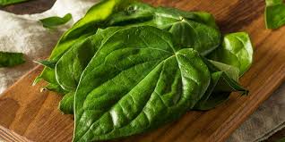 Biasanya obat ini digunakan untuk orang yang banyak mengalami tekanan hidup. 10 Jenis Tanaman Obat Obatan Yang Wajib Ada Di Rumah Anda Sma Negeri 6 Denpasar