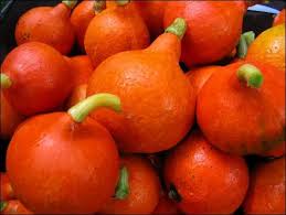Wordpress Com Variedades De Calabaza Calabaza Frutas Y Verduras