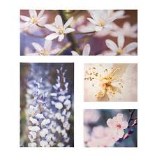 Ikea Us Furniture And Home Furnishings Picture Frame Wall Photo Frame Wall Wall Frames