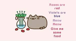 Pusheen Roses Are Red Violets Are Blue Give Me Food Grumpy Cat Birthday Roses Are Red Violets Are Blue Pusheen