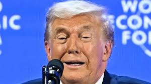 Thomas has trifle in his wellies