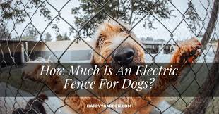 The first step to installing your dog fence is choosing the proper fence for you and your dog. How Much Is An Electric Fence For Dogs How Does It Work Dog Fence Electric Fence Dogs