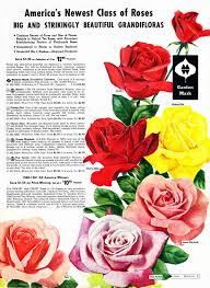 Image result for Pink 1961 Montgomery Ward