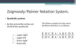 This system is very popular in the uk and ireland. Tooth Numbering System