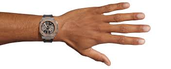 Image result for Beschorneria sp. (Biegel 5357)