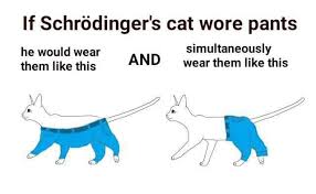 We did not find results for: Schrodinger S Cat If A Dog Wore Pants Know Your Meme
