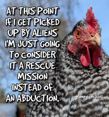 images?q=tbn:ANd9GcTlC_ZgYd6at9kYzPApnJI