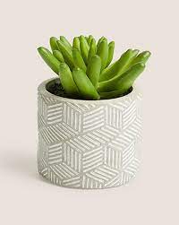 Buy Grey Gardening & Planters for Home & Kitchen by Marks & Spencer Online  | Ajio.com