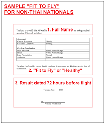 Fragebogen für die aufnahme in die familienversicherung (pdf, 408 kb) finden sie hier das formular zur befreiung von zuzahlungen. Fit To Fly Health Certificate For Travelers To Thailand Thaiest