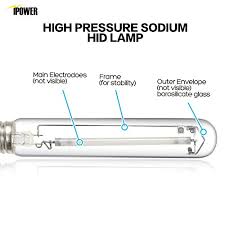 We did not find results for: Ipower Hydroponic Horticulture Floweri 400 Watt Pressure Sodium Grow Light Bulb Lamp High Par Enhanced Red And Orange Spectrums Cct 2100k 400w Hps New Pricepulse