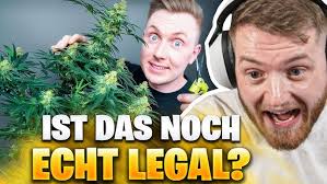 Sportart oder Kunstform? Ein Einblick in die Schweizer Breakdance-Szene