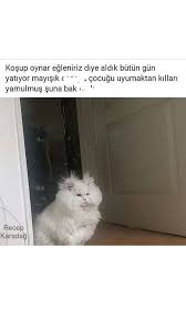 Recep Karadag Blog Instagram Adli Kullanicinin Instagram Post Panosundaki Pin 2020 Komik Goruntuler Komik Tumblr Resimli Alintilar